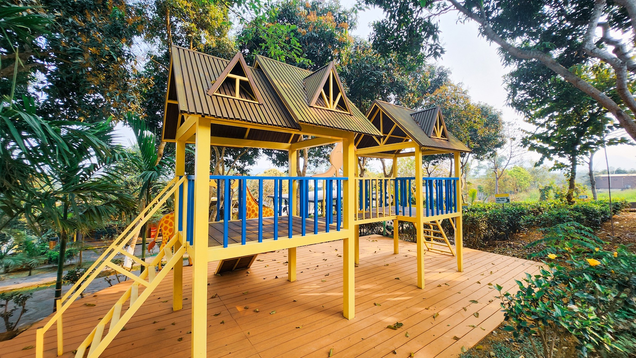 489418201 657533993696128 4037067537984049035 n