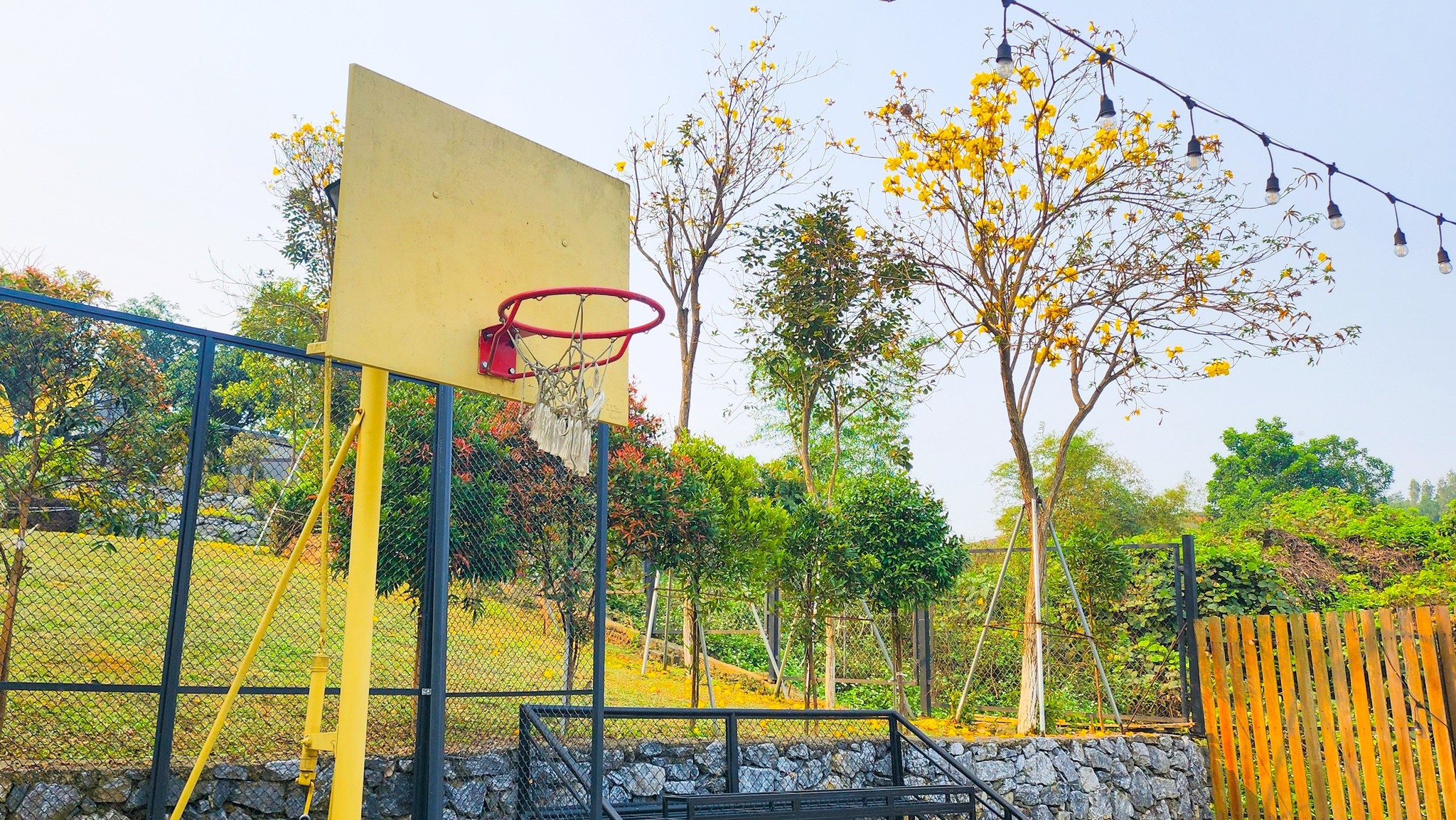 490277854 657533917029469 9187866983574624565 n